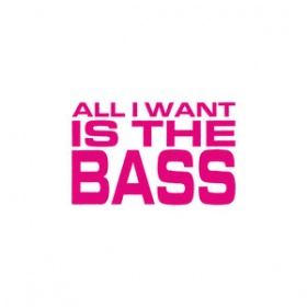 MOUSSE T. - ALL I WANT IS THE BASS